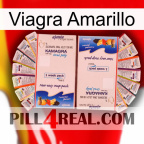 Yellow Pill Viagra kamagra1